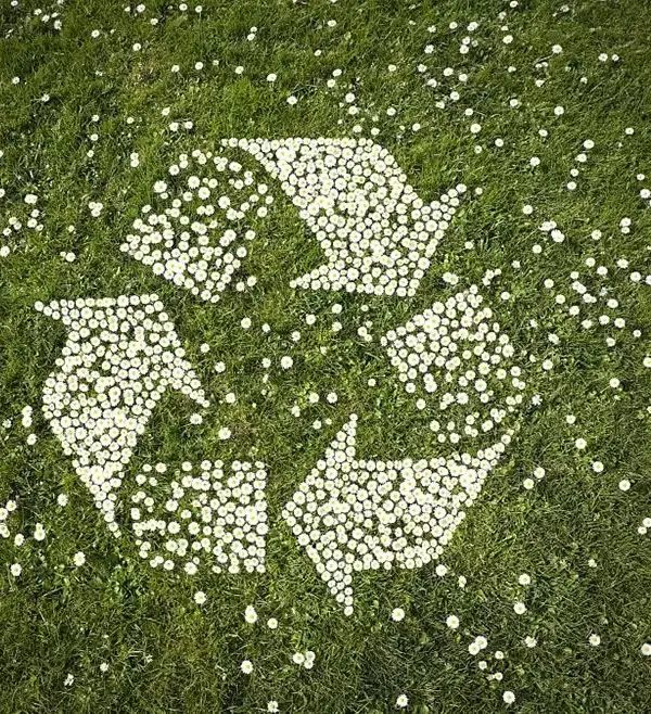 Social Responsibility